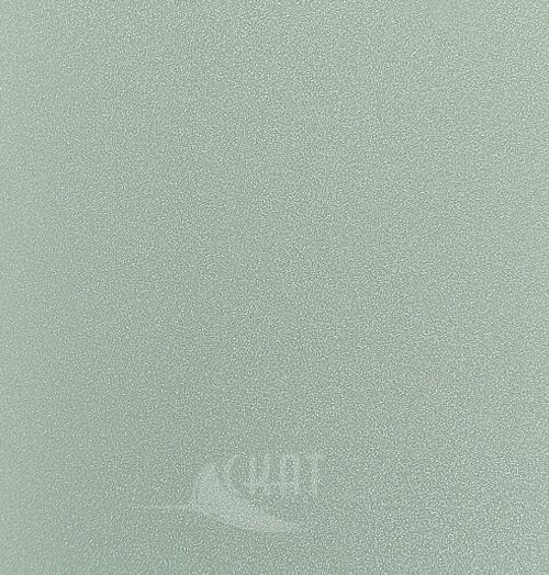 19007