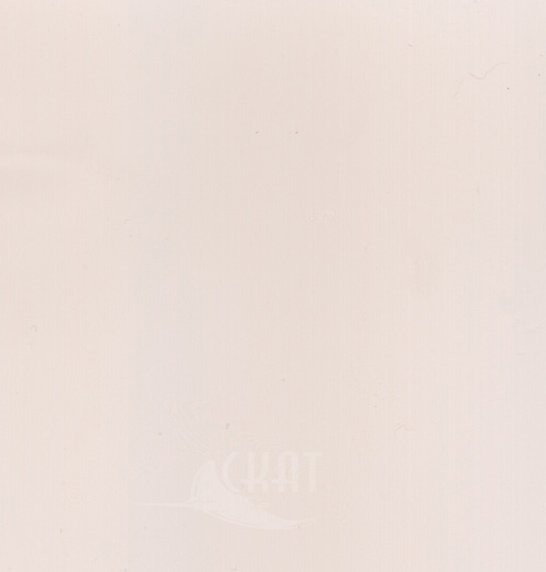 2101G