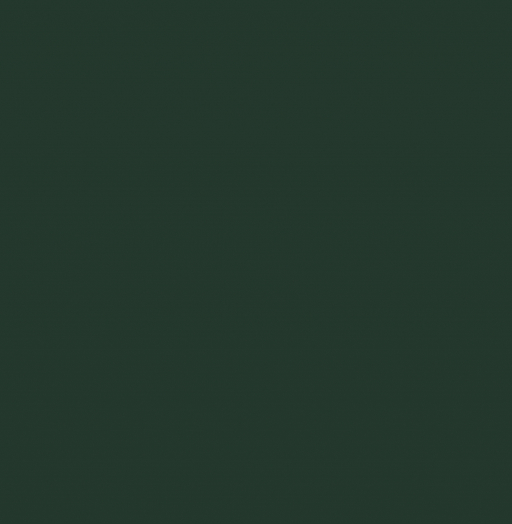 RAL 6009 Пихтовый зеленый
