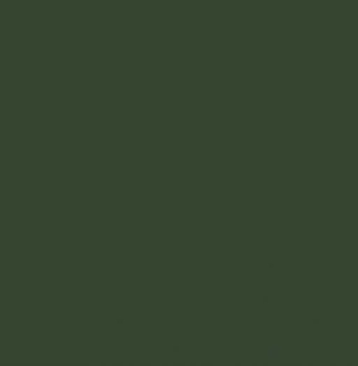 RAL 6020 Хромовый зеленый